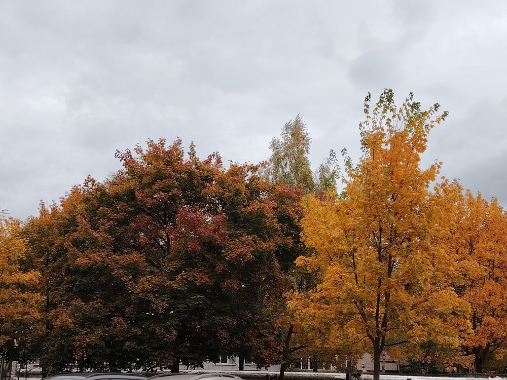 Фотография автора Мария