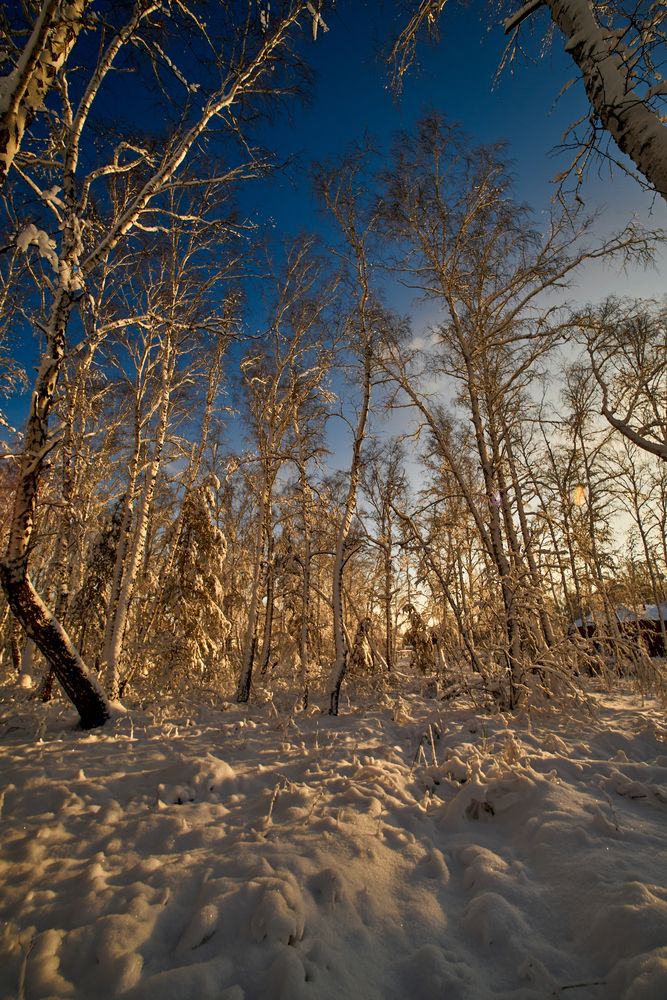 Фотография автора Игорь Игоревич