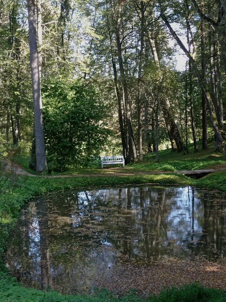 Photograph by Ирина Орлова