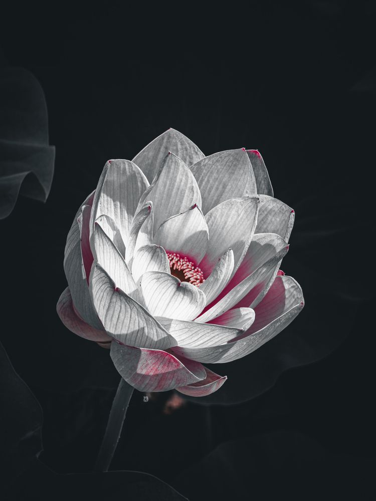 Фотография автора Алексей Ефимов