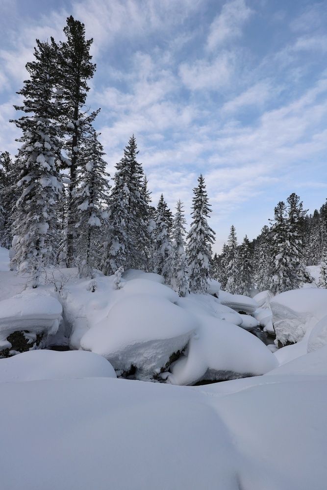 Фотография автора Кощеева Марина
