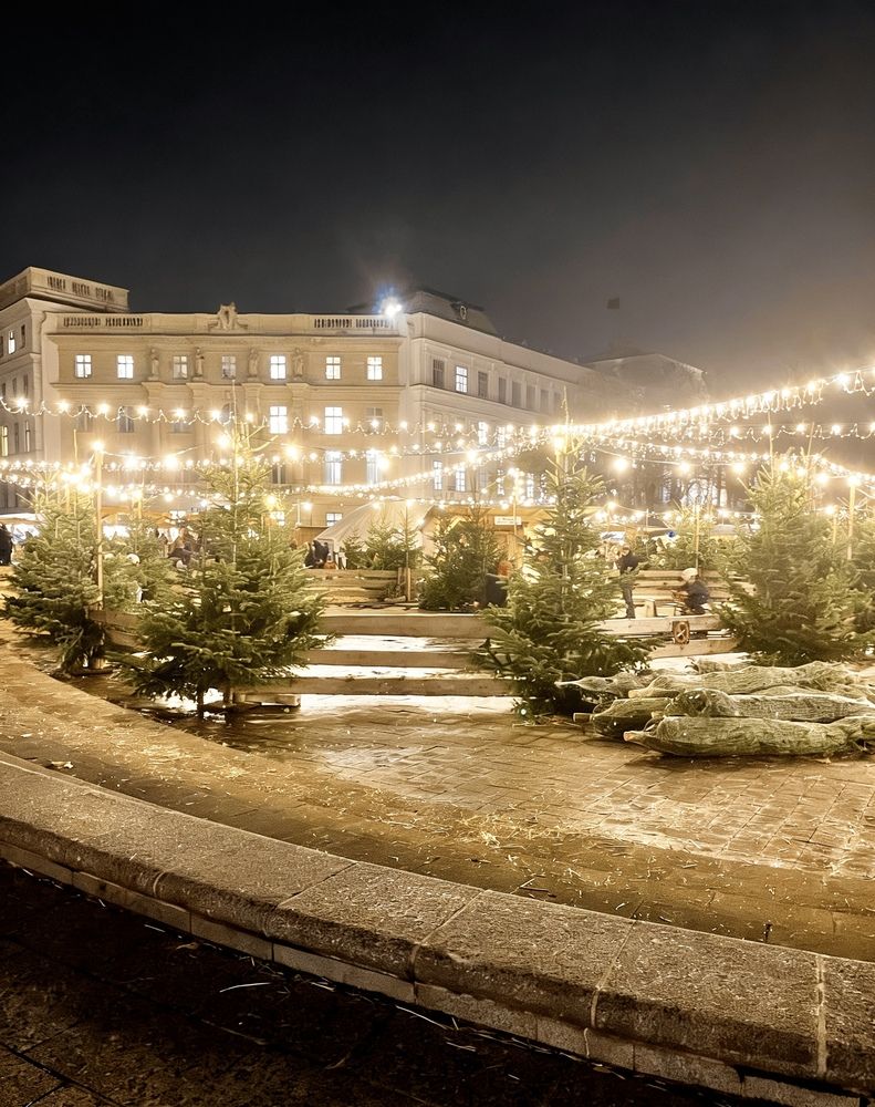 Фотография автора Ala Shalukhanskaya