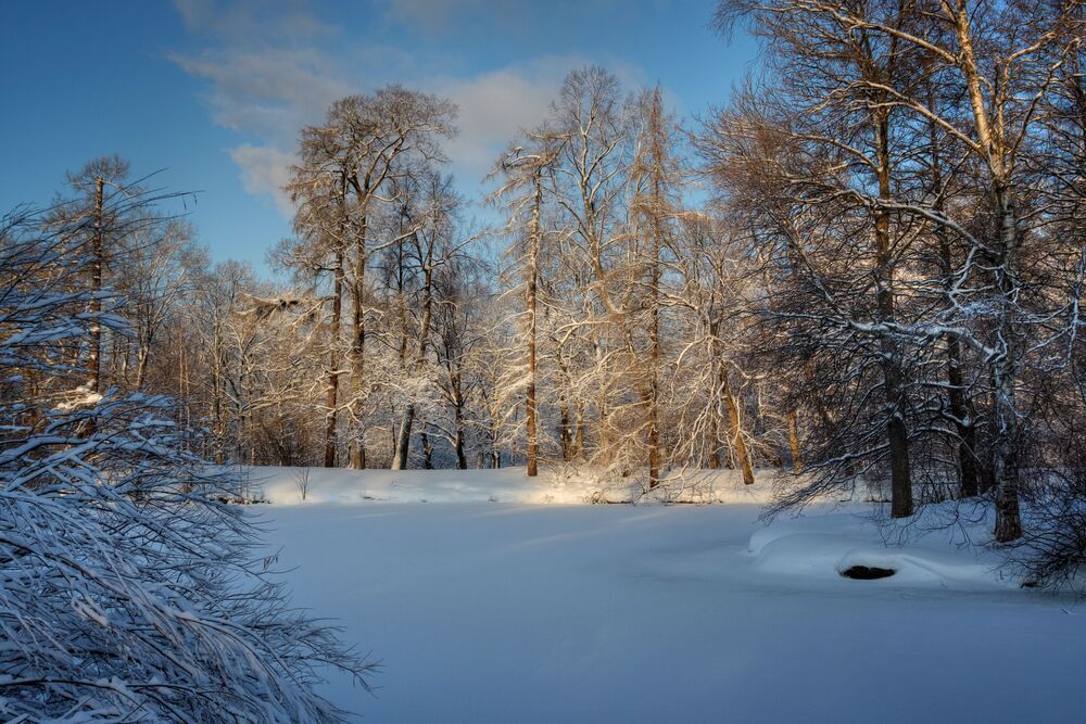 Photograph by Marina Krivitskaya