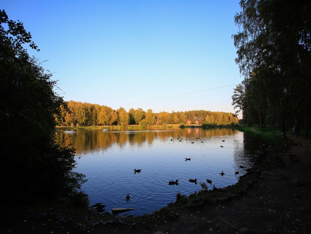 Photograph by Георгий Юркин