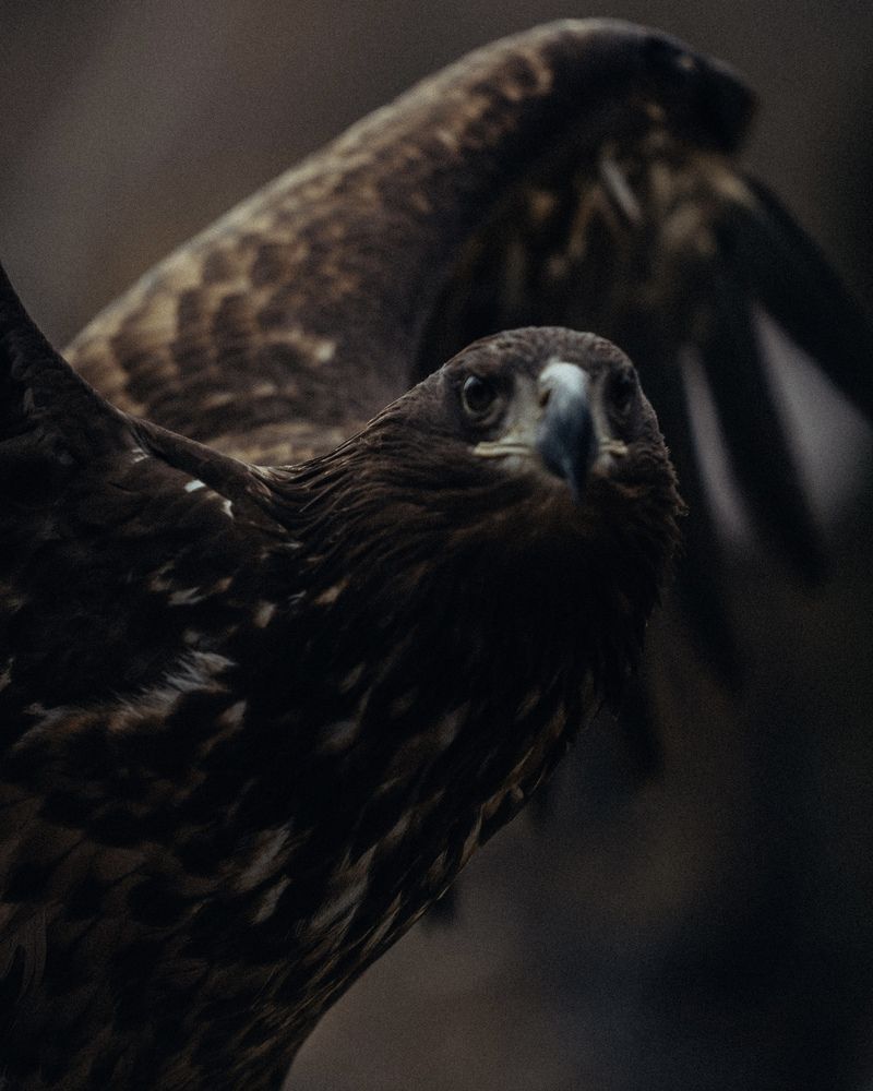 Photograph by EVGENII KOCHETKOV