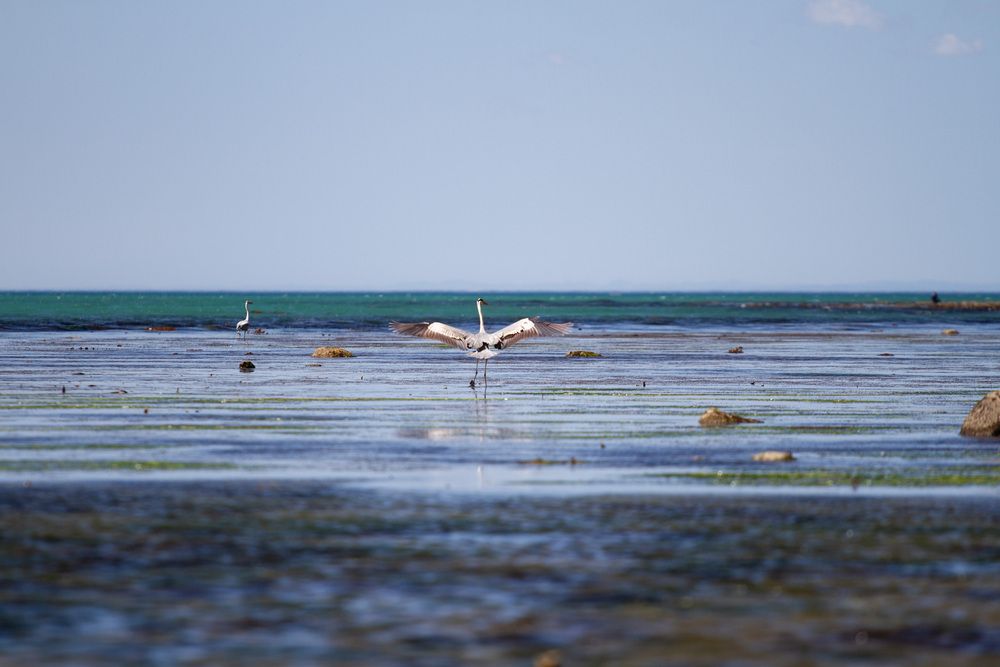 Photograph by ЕЛЕНА Рохо-Фернандес