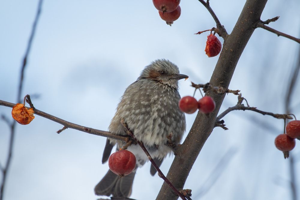 Photograph by ЕЛЕНА Рохо-Фернандес