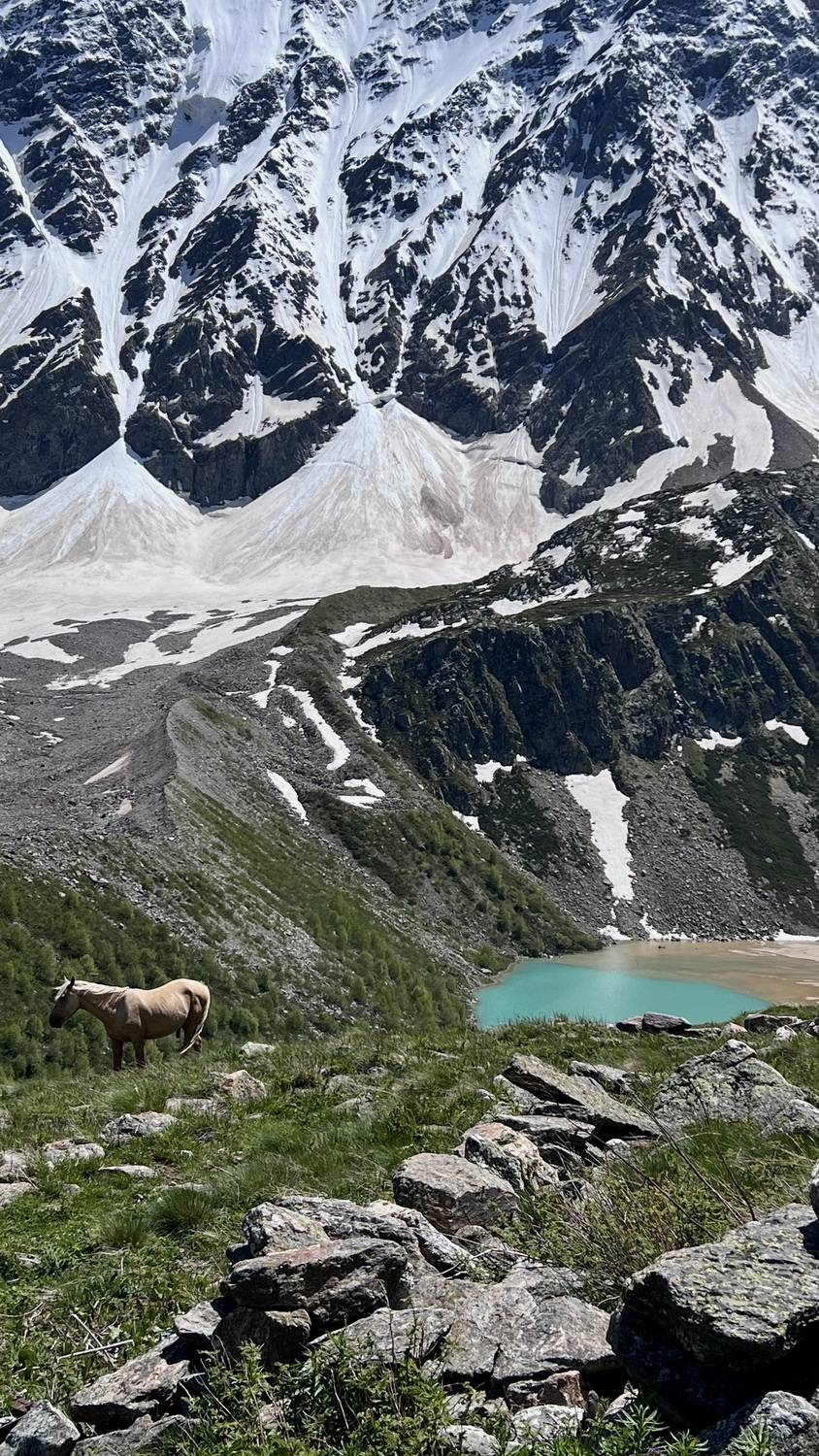 Фотография #13084370