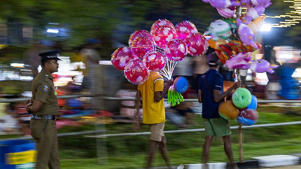 Life in Motion