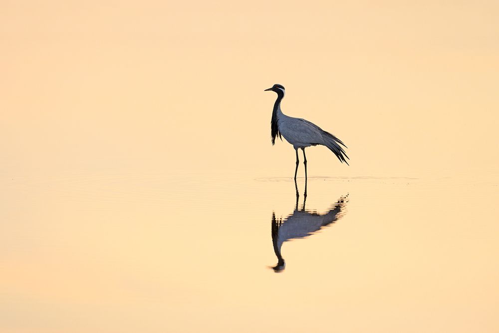 Photograph by Анатолий Садовский