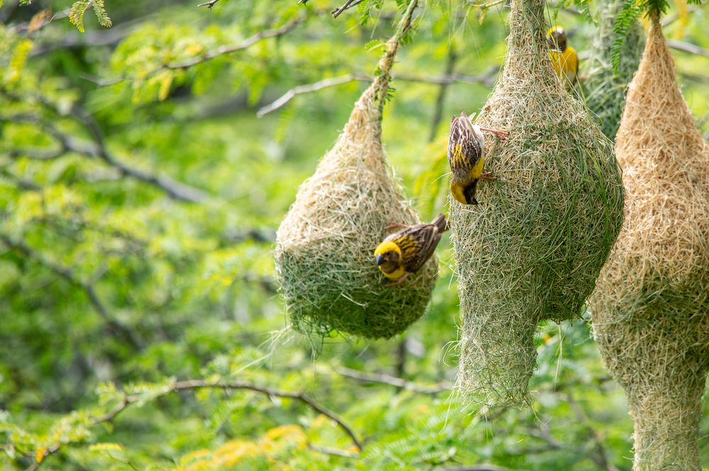 Photograph by Kirtesh Mahant