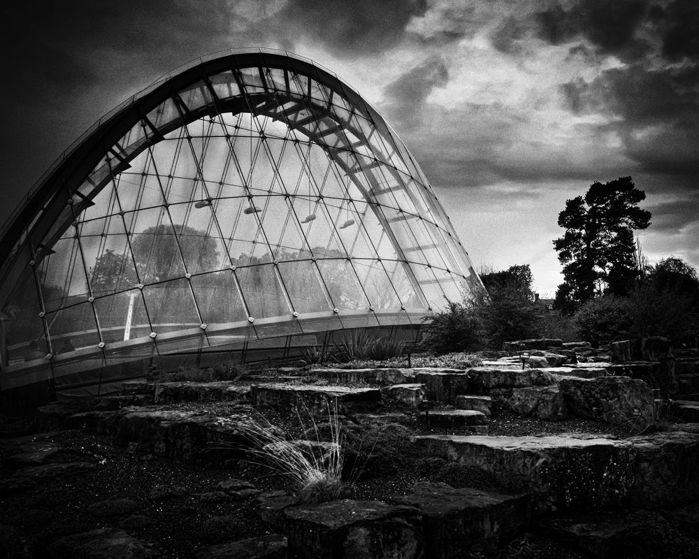 Фотография автора Елена Лаврова