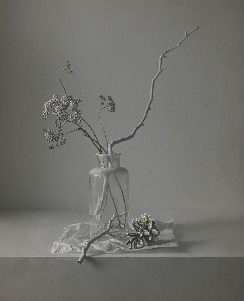 Photograph by Елена Виноградова