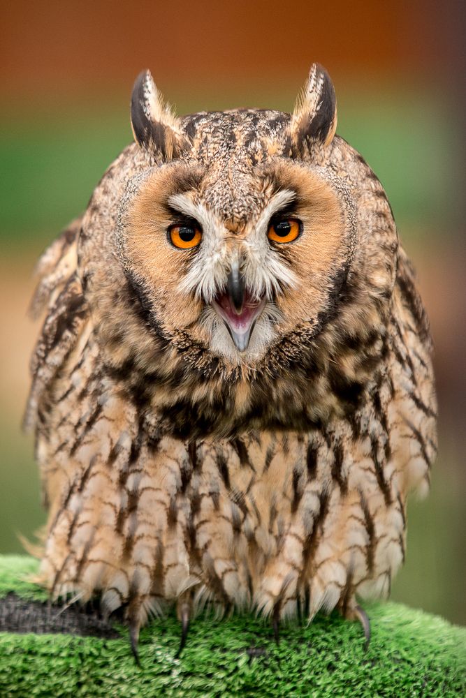 Photograph by Андрей Шаронов