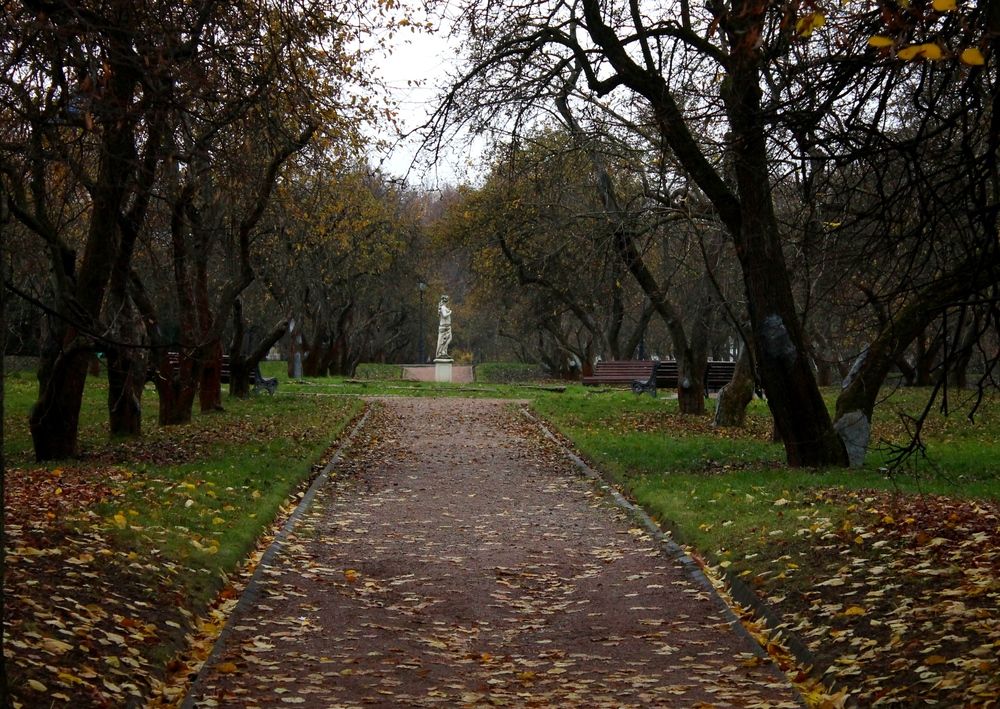 Photograph by Martin Ice