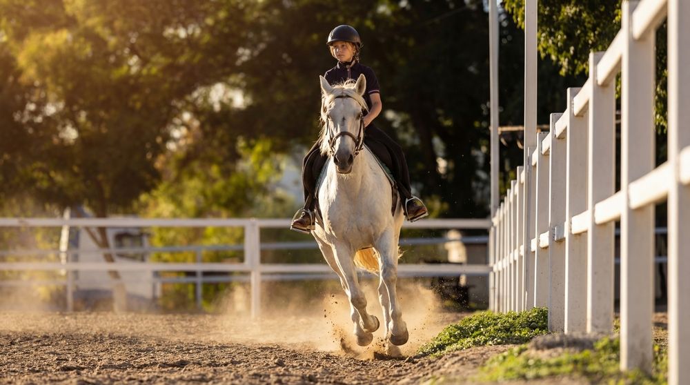 Фотография автора Даниил Овчаренко