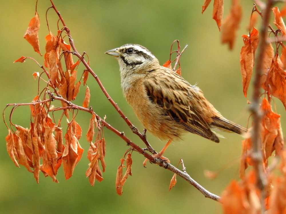 Photograph by Олеся Дейнеко