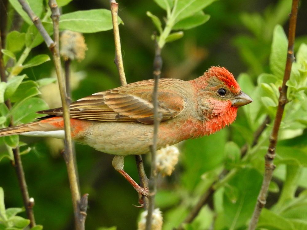 Photograph by Олеся Дейнеко