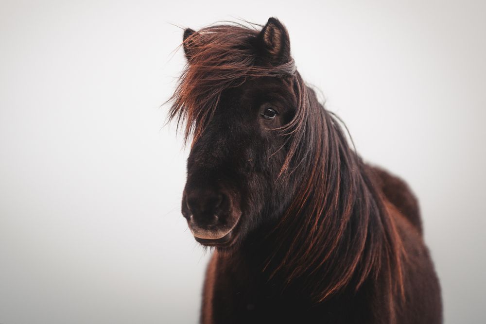 Фотография автора Aman Wilson