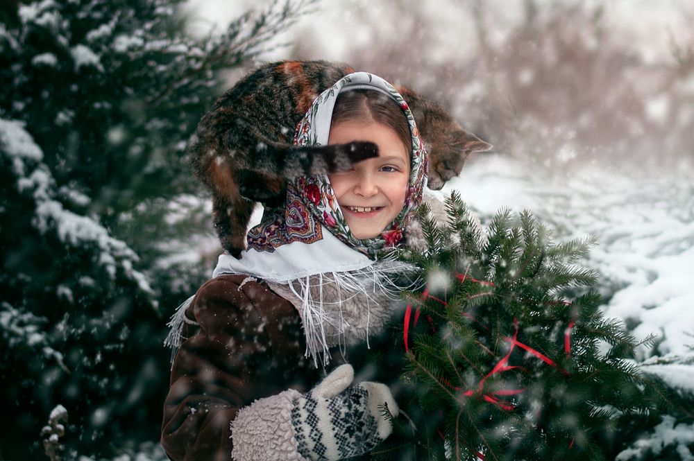 Photograph by Семисенко Яна