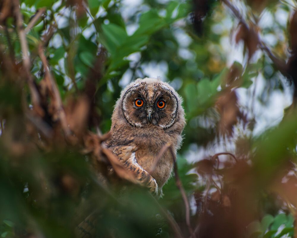 Photograph by Milan Đorđević