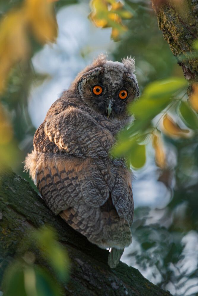 Photograph by Milan Đorđević