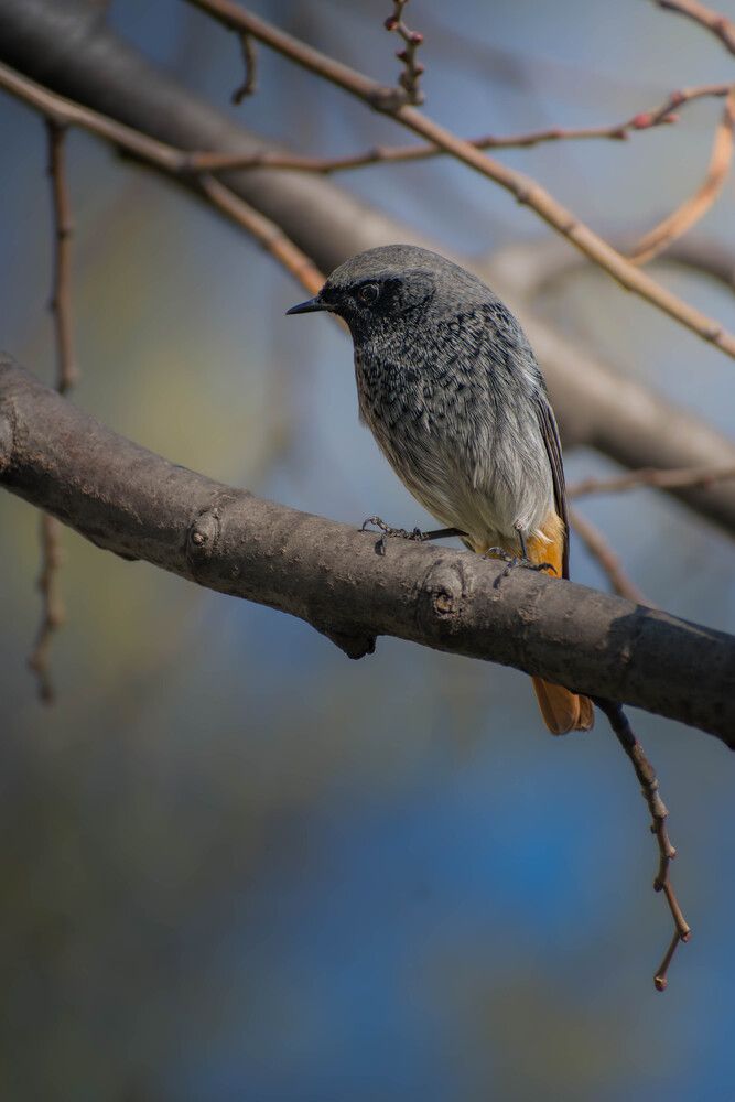 Photograph by Milan Đorđević