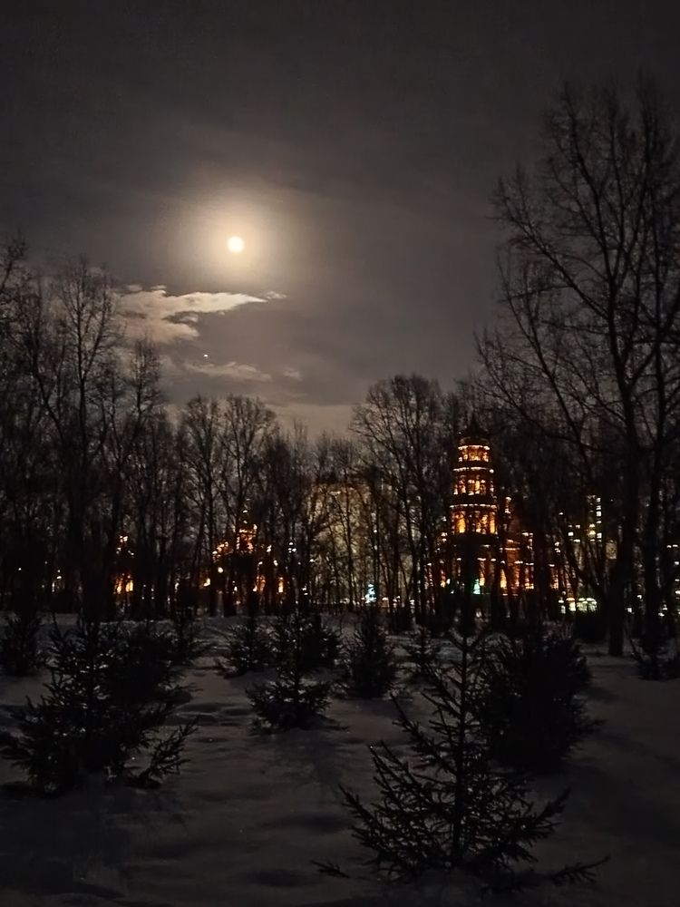 Photograph by Елена Алешкевич