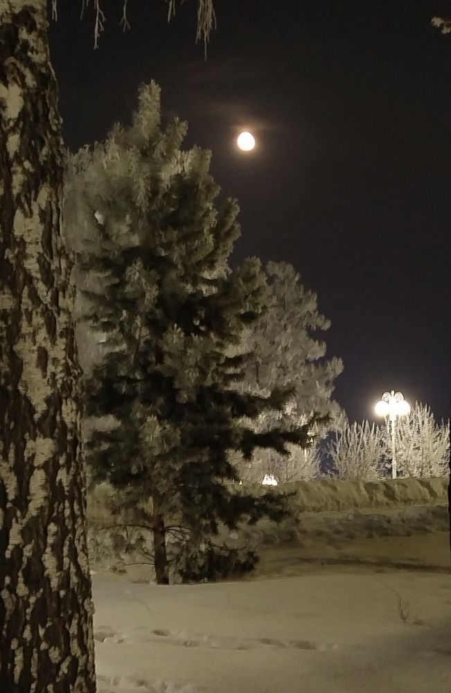 Photograph by Елена Алешкевич