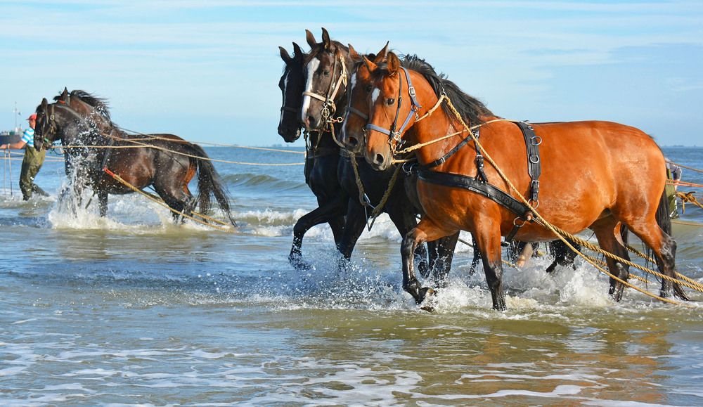 Photograph by Marjo Steffen