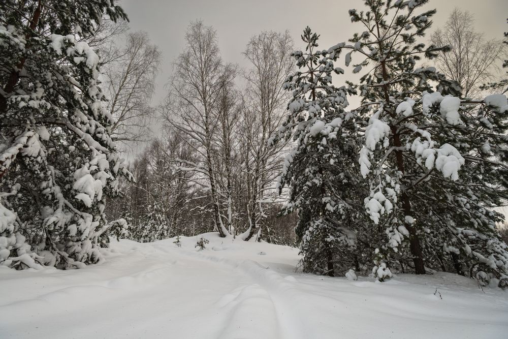 Photograph by YURIY TSARENKO
