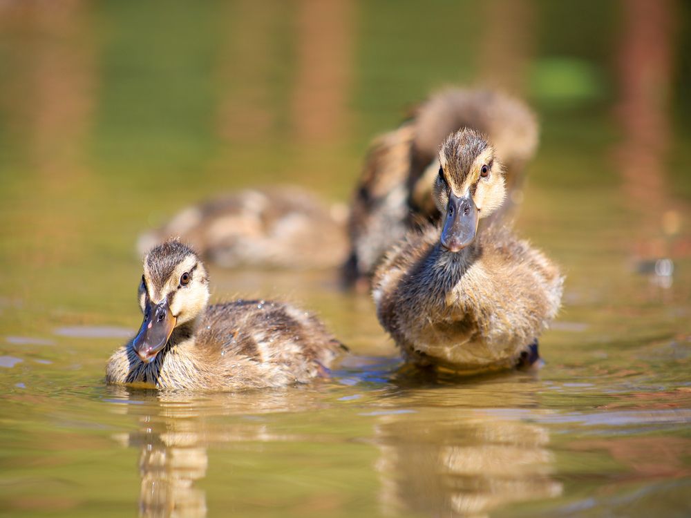 Photograph by Георгий Юркин