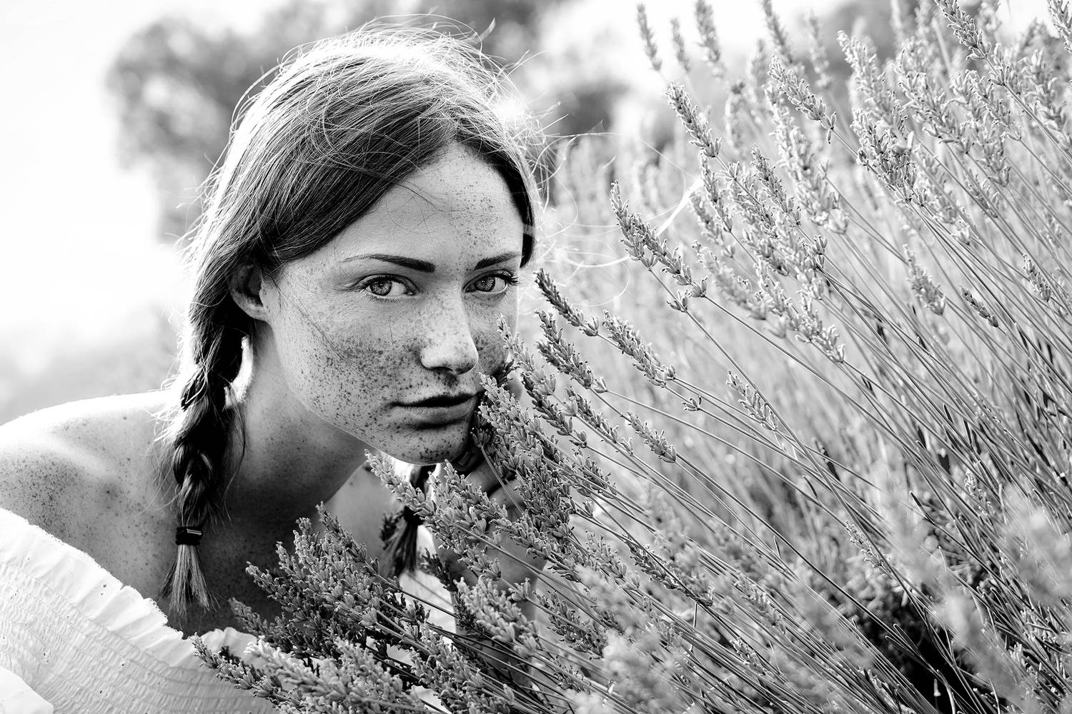Daughter of the wind