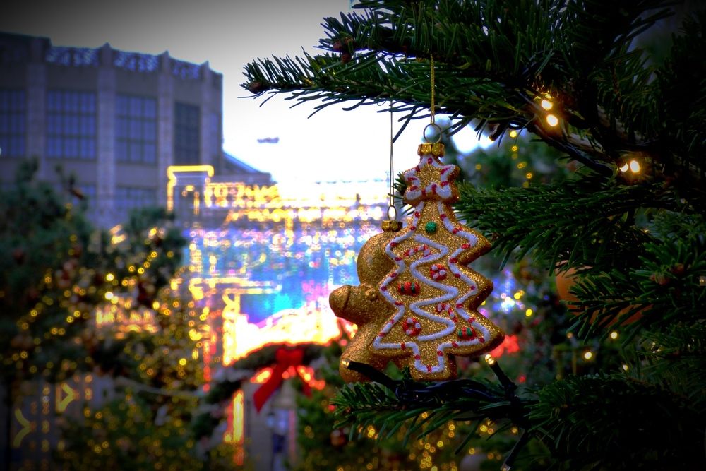 Photograph by Martin Ice