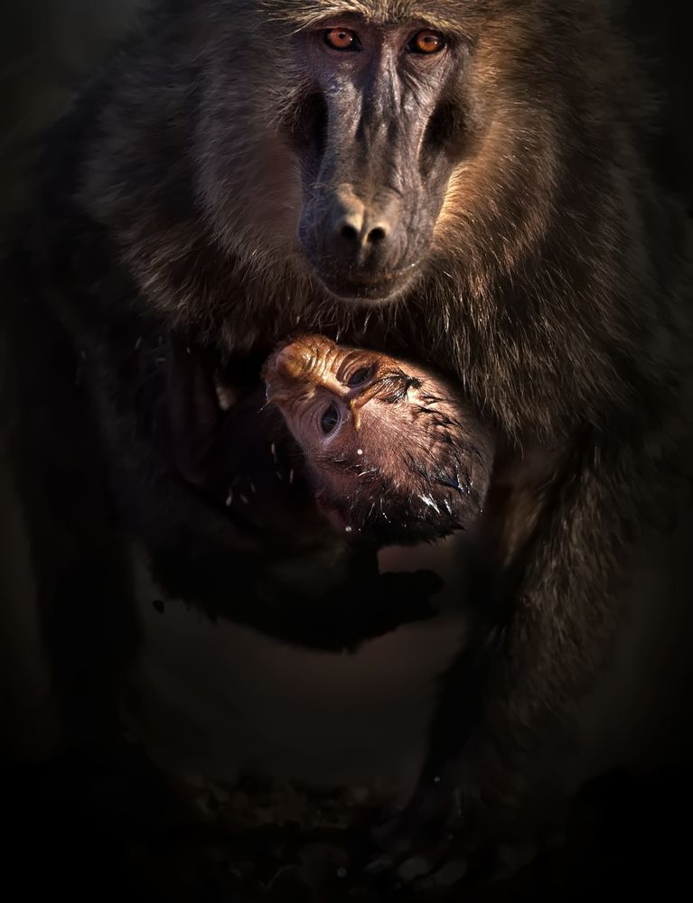 Фотография автора Александр Перов