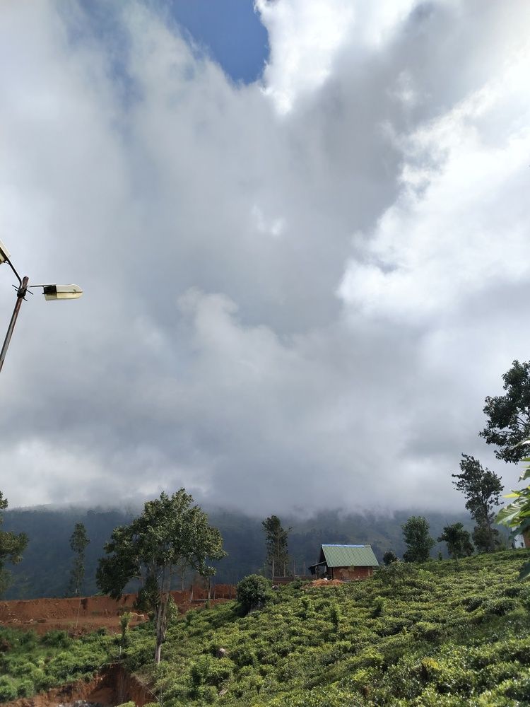Photograph by Harith prabhashwara Yaddehi