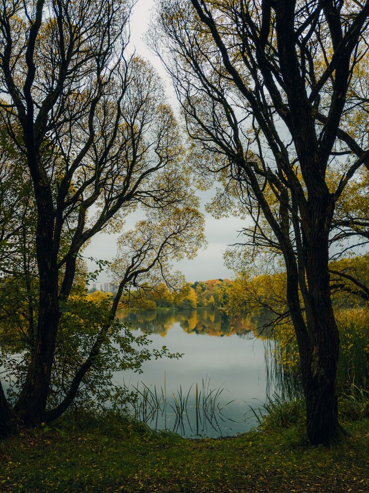 Фотография автора Андрей Жуков