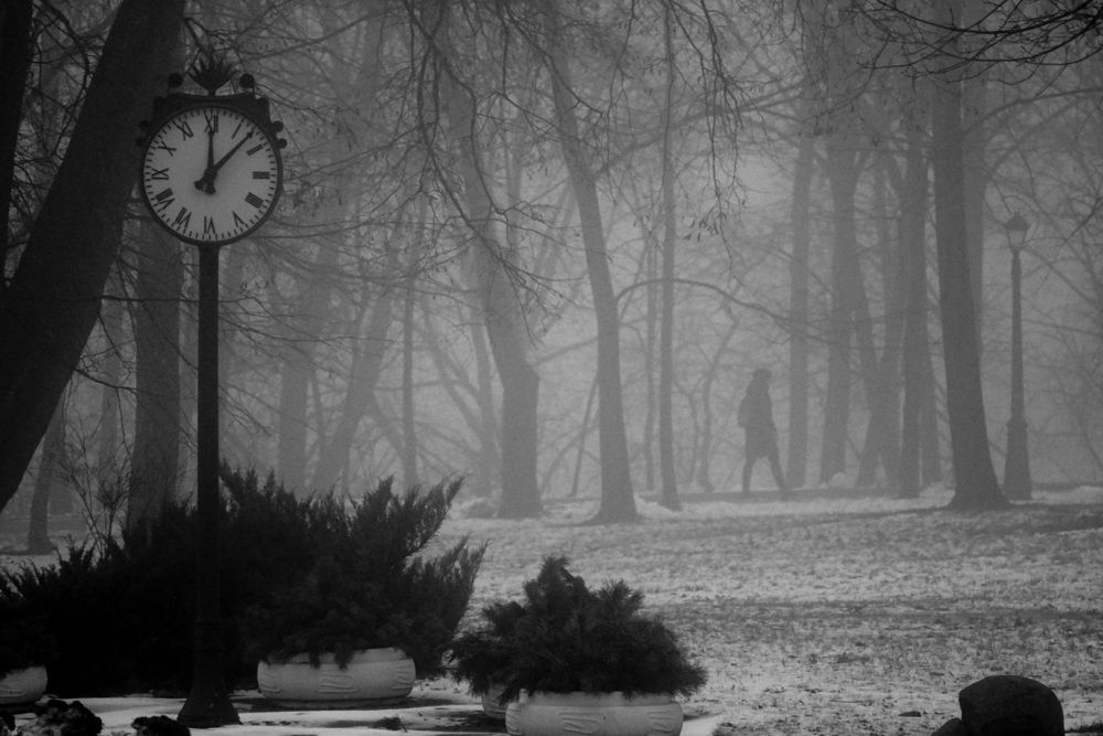 Photograph by Александр Курлович