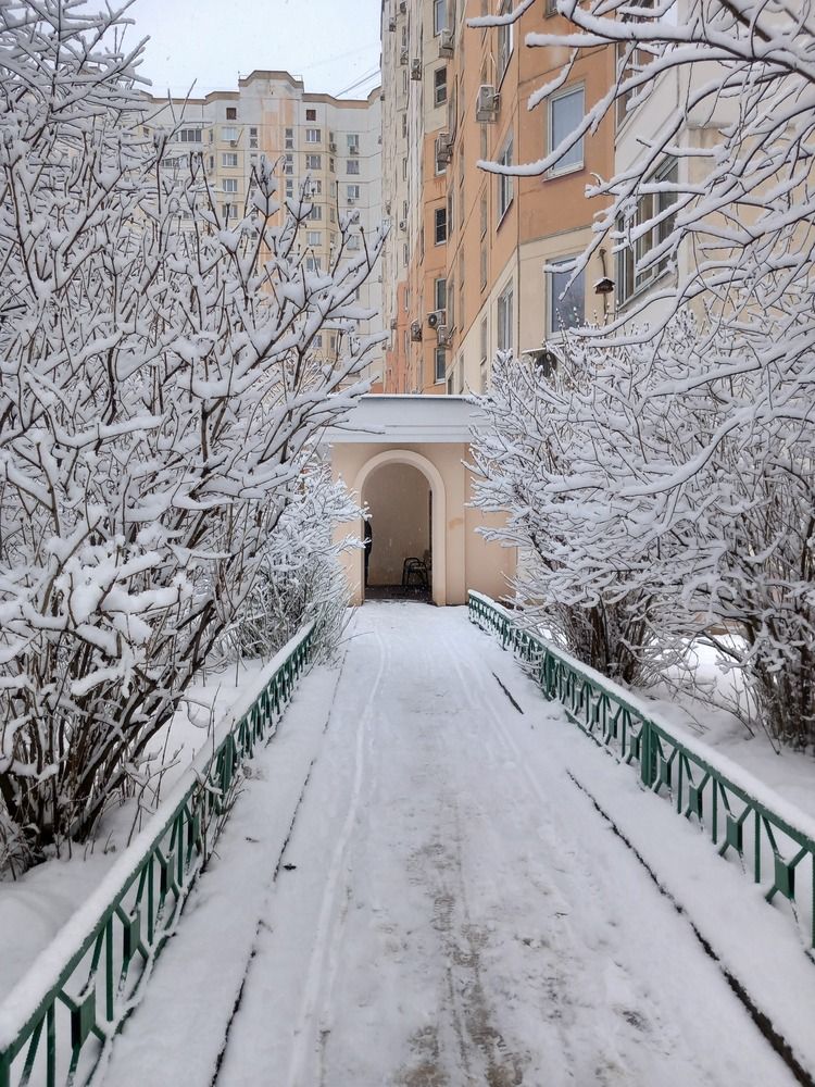 Фотография автора Анастасия