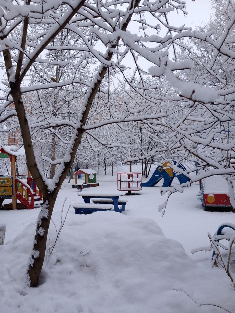 Фотография автора Анастасия