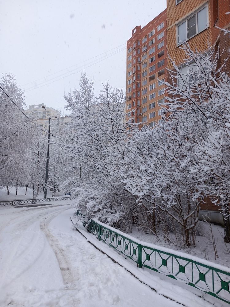 Фотография автора Анастасия