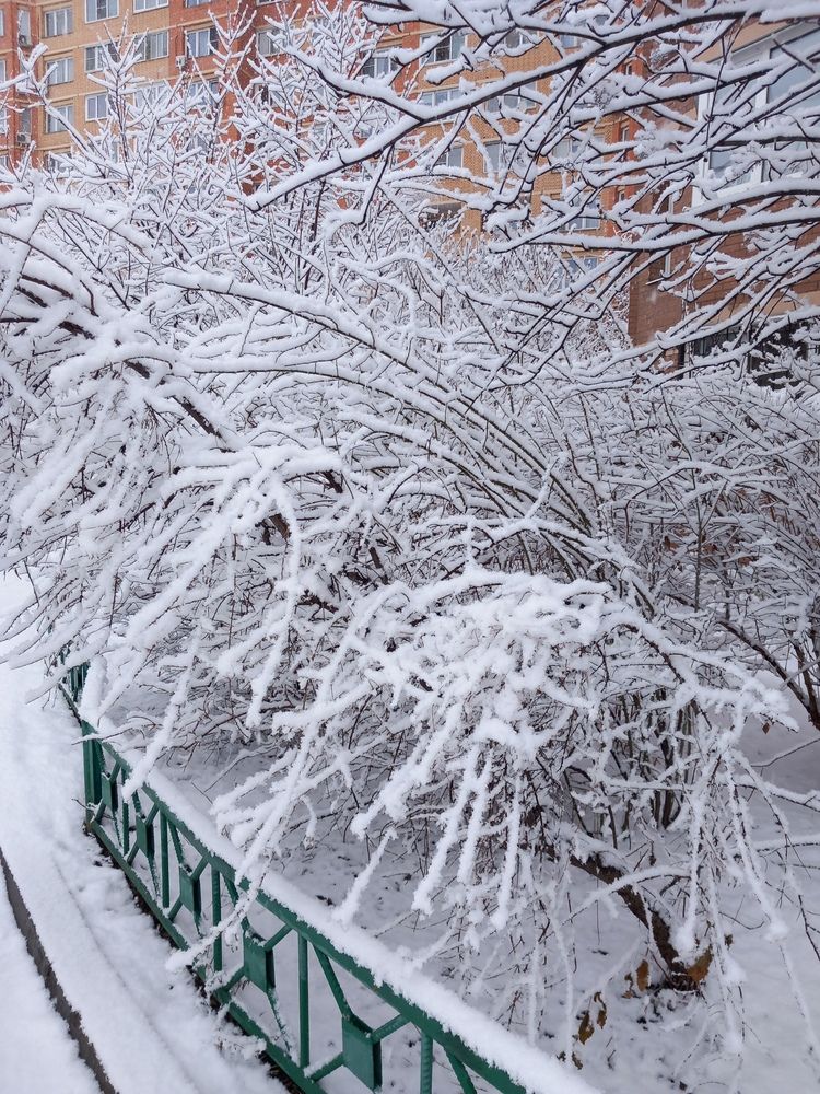 Фотография автора Анастасия