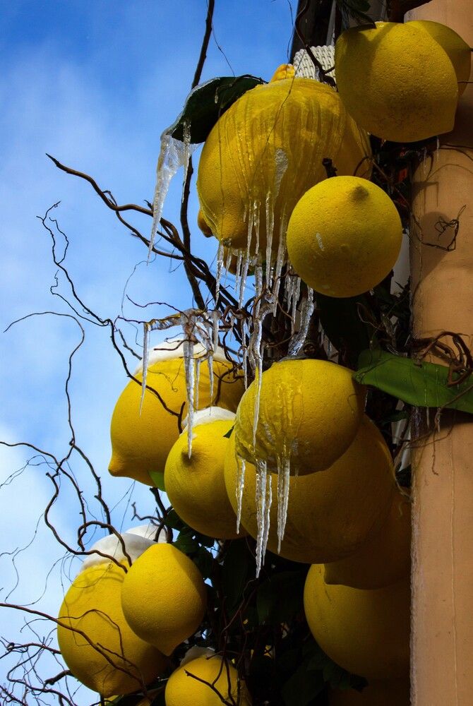 Фотография автора Наталья Шевелева