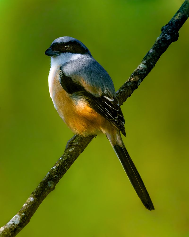 Photograph by Aaron R S