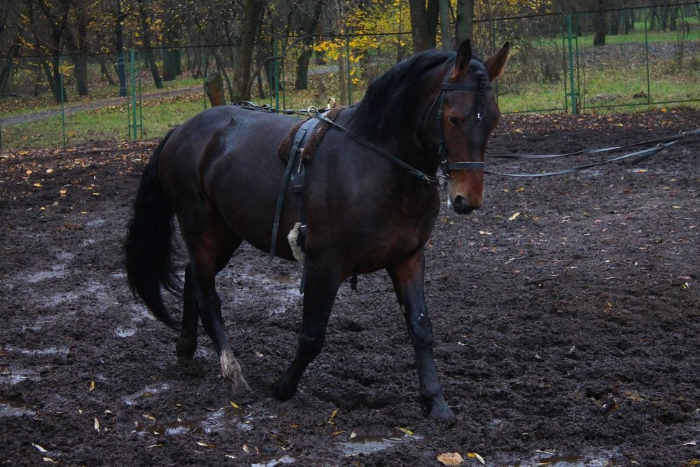 Photograph by Martin Ice