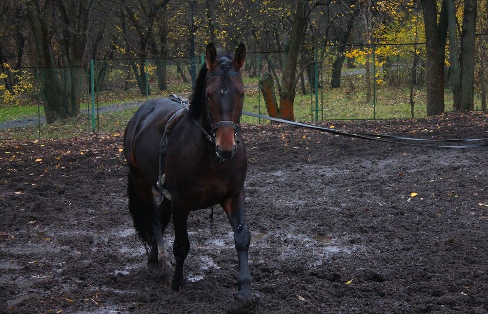 Photograph by Martin Ice