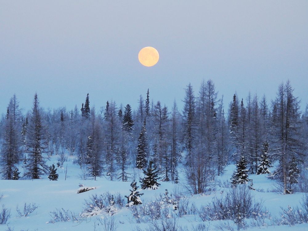 Photograph by Мария Черница