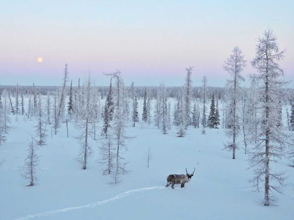 Photograph by Мария Черница