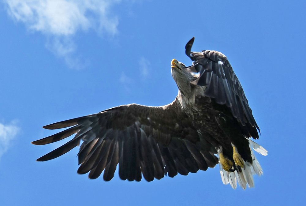 Photograph by Marjo Steffen