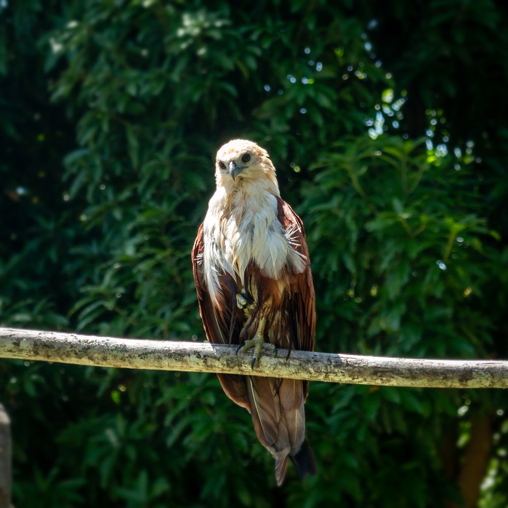 Photograph by Никита Костылёв